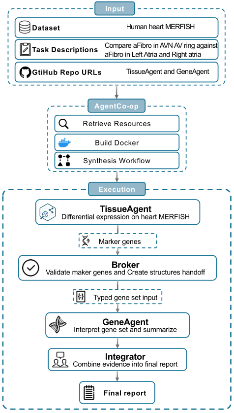 AgentCo-Op orchestrates TissueAgent and GeneAgent through a broker-mediated typed handoff.